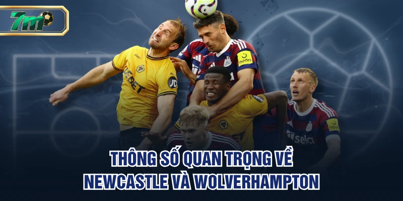 Soi Kèo Newcastle VS Wolverhampton | 21h 13/09, EPL 2 Thông số quan trọng về Newcastle và Wolverhampton